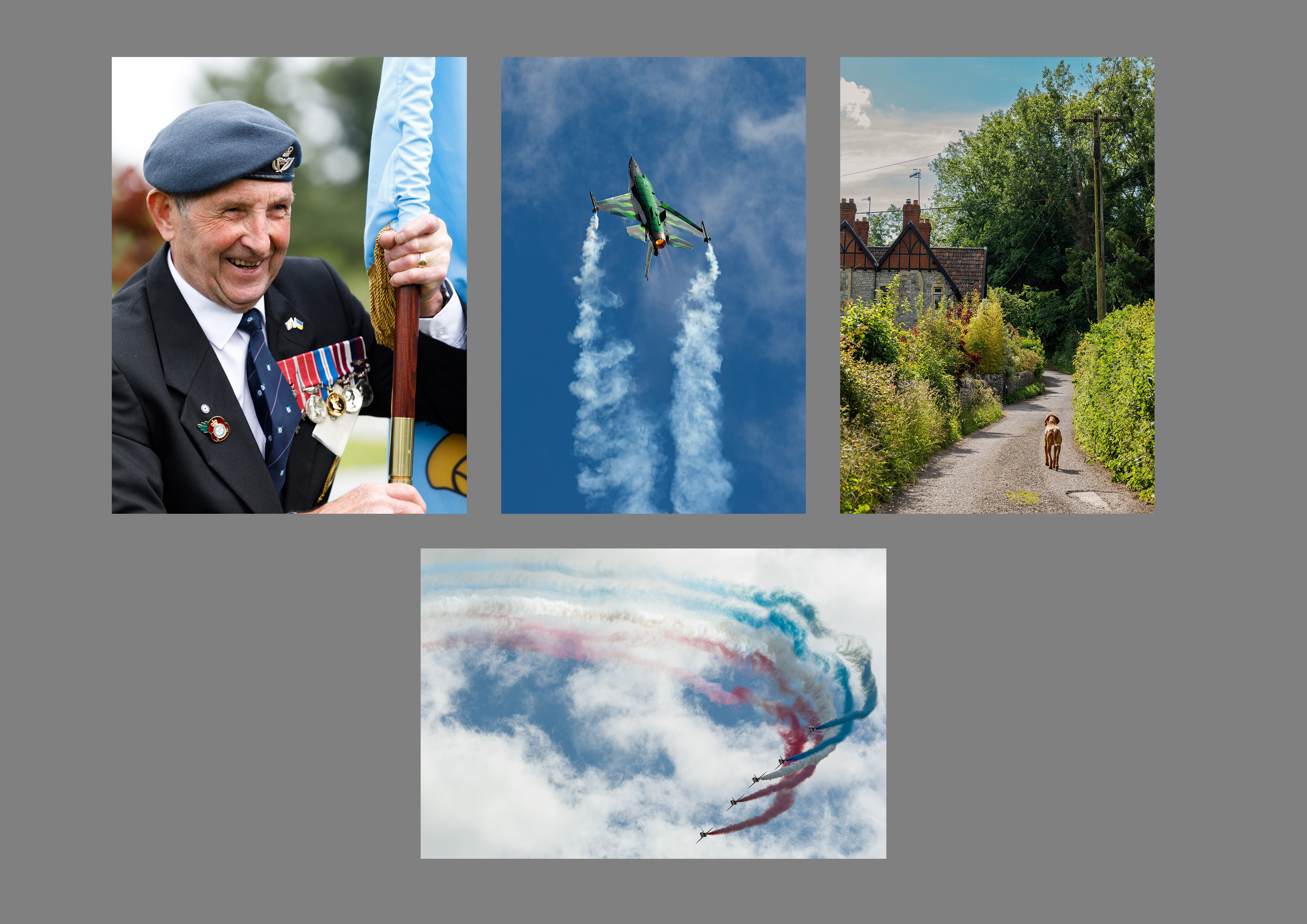Image shows picture collage, featuring a RAF veteran holding a flag; a flying aircraft; a dog walking along a country lane; and the Red Arrows performing.